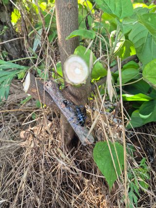 한옥록님의 자유주제 · 자유게시판 작성글 사진