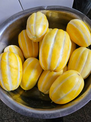 휘성님의 자유주제 · 자유게시판 작성글 사진