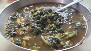 여우내 이순홍님의 자유주제 · 자유게시판 작성글 사진