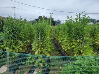 땅땅님의 자유주제 · 자유게시판 작성글 사진