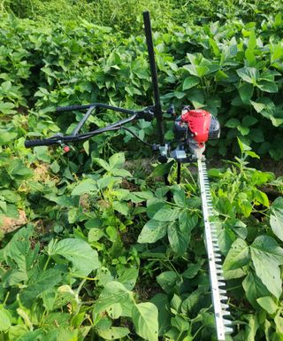 황소4님의 자유주제 · 사진전 작성글 사진