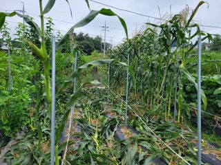 땅땅님의 자유주제 · 자유게시판 작성글 사진