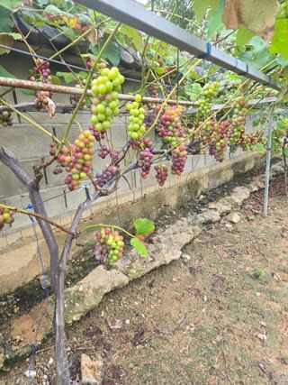 자연인님의 자유주제 · 자유게시판 작성글 사진