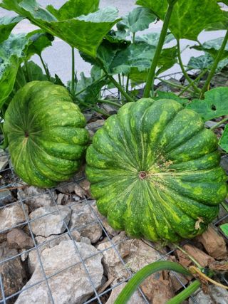 이상응님의 자유주제 · 자유게시판 작성글 사진