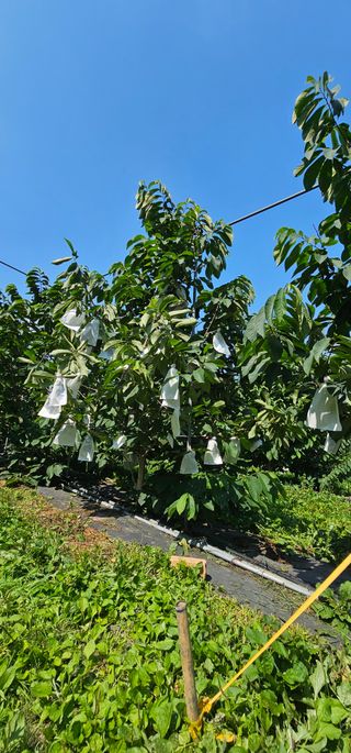 포포나무학교한치원님의 자유주제 · 자유게시판 작성글 사진
