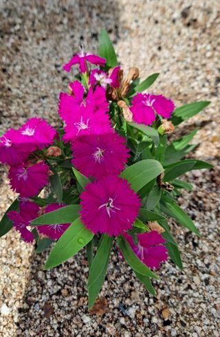 MSG0074님의 자유주제 · 자유게시판 작성글 사진