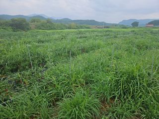 정재남님의 자유주제 · 자유게시판 작성글 사진