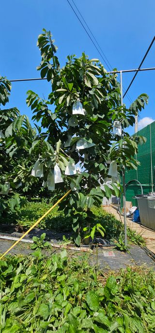 포포나무학교한치원님의 자유주제 · 자유게시판 작성글 사진