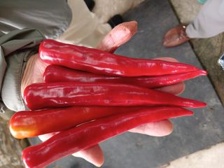 이영자 님의 자유주제 · 자유게시판 작성글 사진