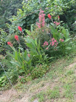 금돌비학님의 자유주제 · 자유게시판 작성글 사진