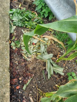 김용대님의 자유주제 · 자유게시판 작성글 사진