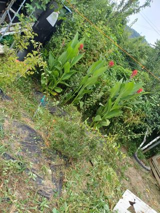 금돌비학님의 자유주제 · 자유게시판 작성글 사진