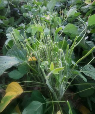 황소4님의 자유주제 · 사진전 작성글 사진