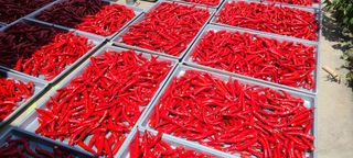 정진해님의 자유주제 · 자유게시판 작성글 사진