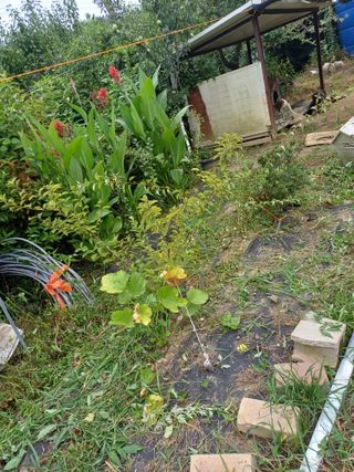 금돌비학님의 자유주제 · 자유게시판 작성글 사진