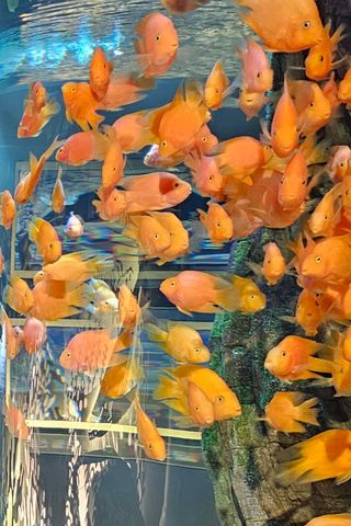 MSG0074님의 자유주제 · 자유게시판 작성글 사진