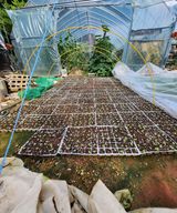 팜모닝 자유주제·자유게시판 게시글 이미지