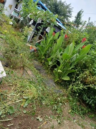 금돌비학님의 자유주제 · 자유게시판 작성글 사진