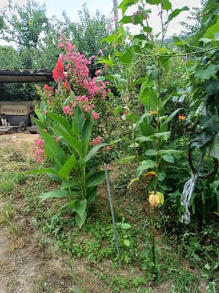 금돌비학님의 자유주제 · 자유게시판 작성글 사진