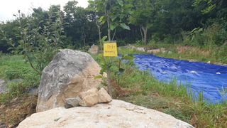 농부아내님의 자유주제 · 자유게시판 작성글 사진