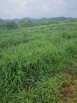 정재남님의 자유주제 · 자유게시판 작성글 사진