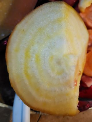 이순희님의 콩 · 자유게시판 작성글 사진