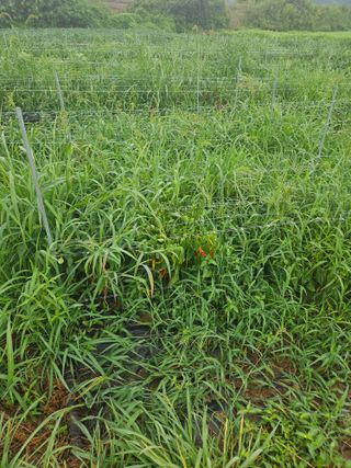 정재남님의 자유주제 · 자유게시판 작성글 사진