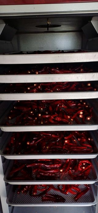 초보퍼머5도2촌준비님의 자유주제 · 사진전 작성글 사진