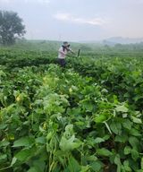 팜모닝 자유주제·사진전 게시글 이미지