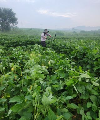 황소4님의 자유주제 · 사진전 작성글 사진