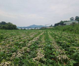 황소4님의 자유주제 · 사진전 작성글 사진