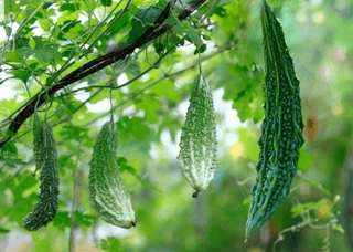 MSG0074님의 자유주제 · 자유게시판 작성글 사진