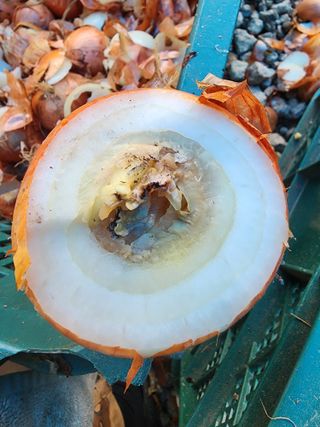 김동현님의 농사, 무엇이든 물어보세요! · 참여글 작성글 사진