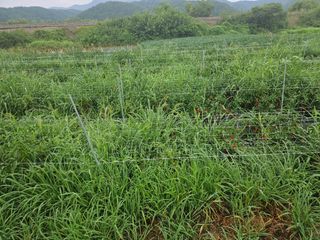 정재남님의 자유주제 · 자유게시판 작성글 사진