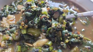 여우내 이순홍님의 자유주제 · 자유게시판 작성글 사진