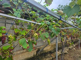 자연인님의 자유주제 · 자유게시판 작성글 사진