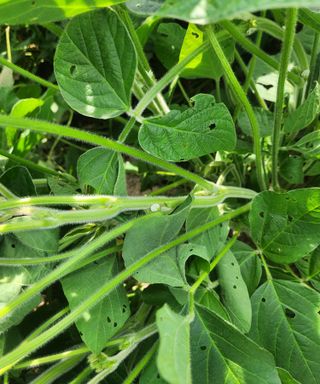 황소4님의 자유주제 · 사진전 작성글 사진