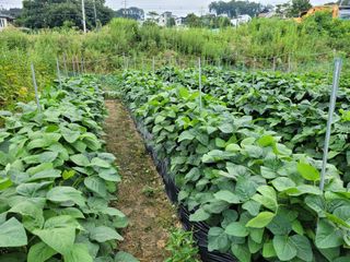 땅땅님의 자유주제 · 자유게시판 작성글 사진