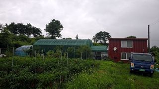 박세은님의 자유주제 · 자유게시판 작성글 사진