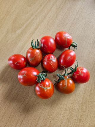 현수님의 자유주제 · 자유게시판 작성글 사진