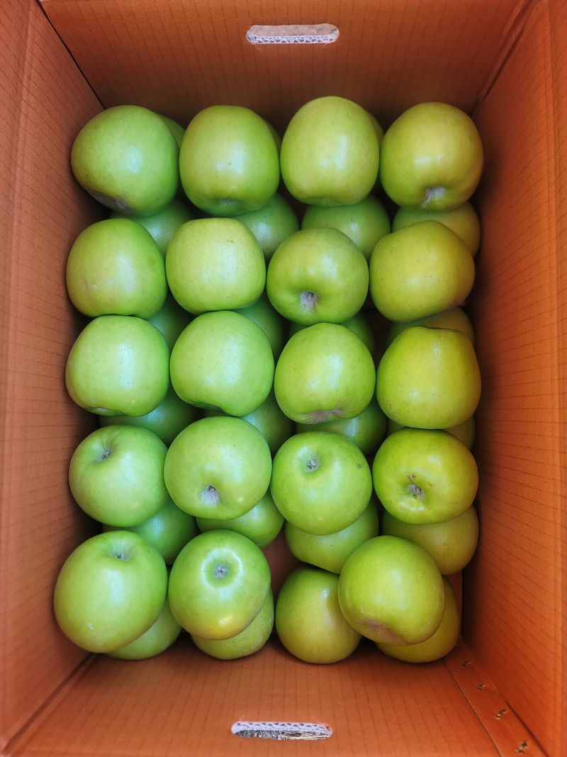 장터 상품 [사과(아오리)] 썸네일