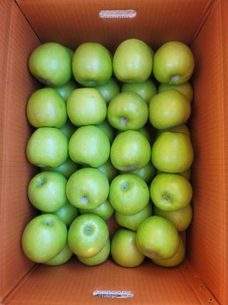 김재현님의 작성글 사진