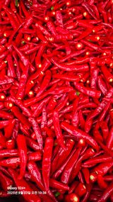 팜모닝 자유주제·자유게시판 게시글 이미지