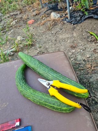 이정민님의 자유주제 · 자유게시판 작성글 사진