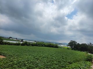 김화연님의 자유주제 · 자유게시판 작성글 사진