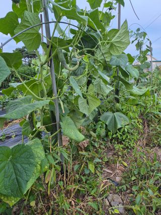 이정민님의 자유주제 · 자유게시판 작성글 사진