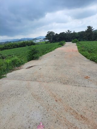 김화연님의 자유주제 · 자유게시판 작성글 사진