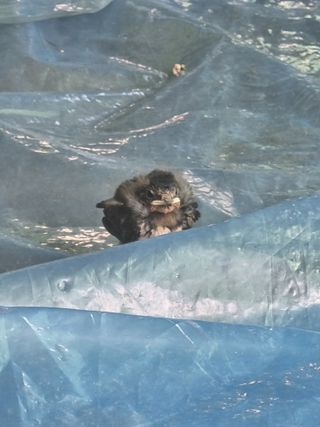 정석범님의 자유주제 · 자유게시판 작성글 사진