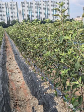 우리농원님의 자유주제 · 자유게시판 작성글 사진