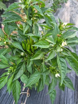 이정민님의 자유주제 · 자유게시판 작성글 사진